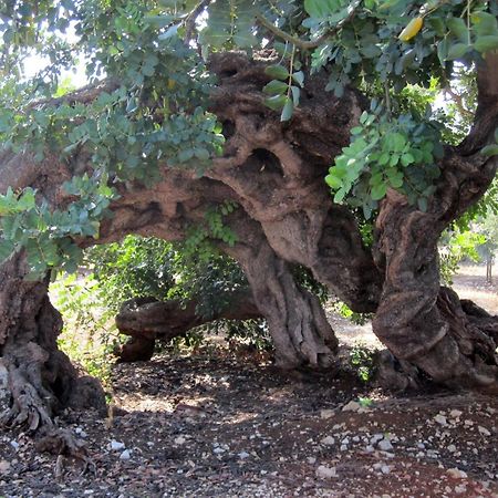 Masseria Don Sante Φαζάνο Εξωτερικό φωτογραφία